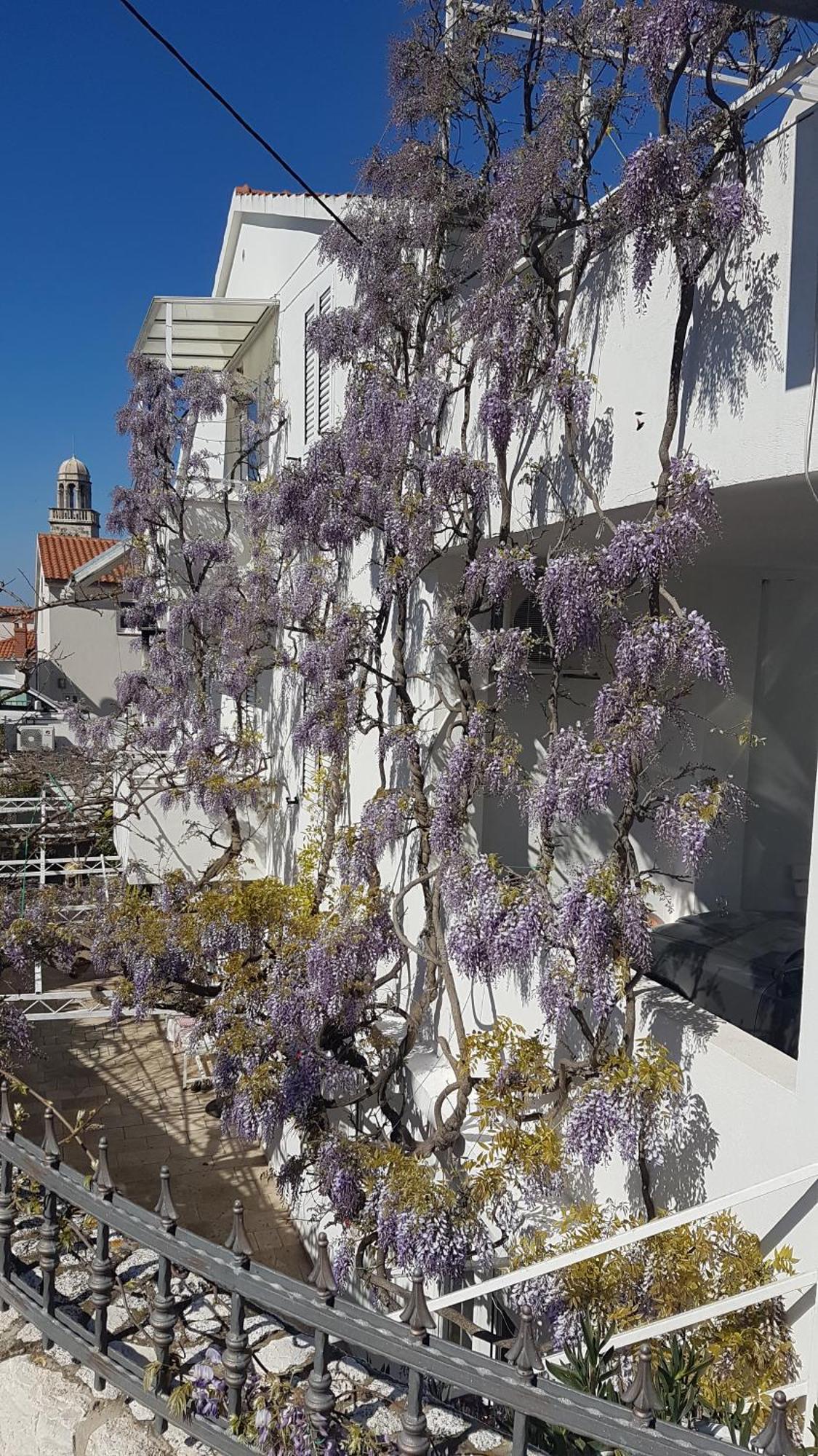 Apartmani Surlin Hvar Town Exterior foto