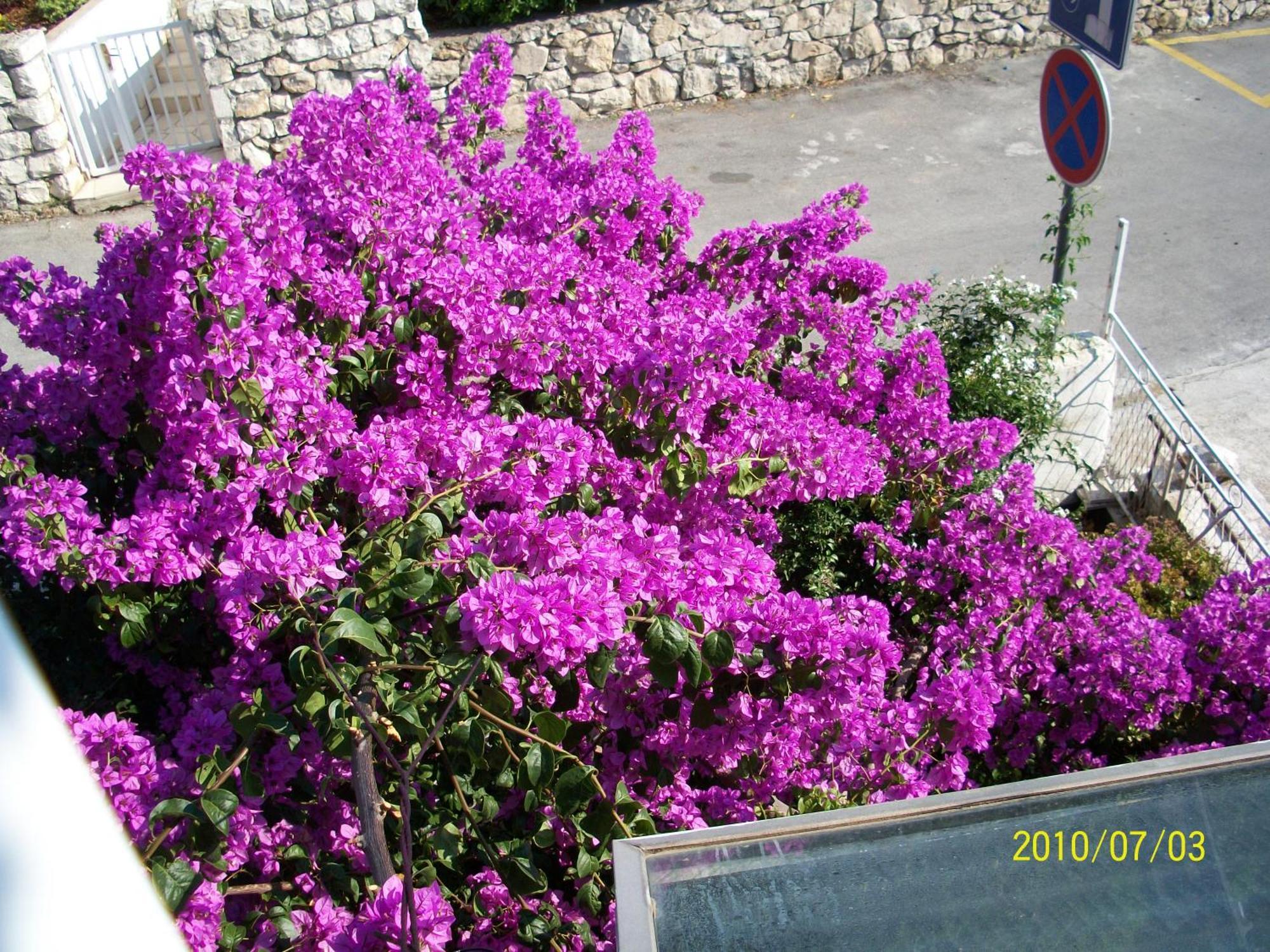 Apartmani Surlin Hvar Town Exterior foto